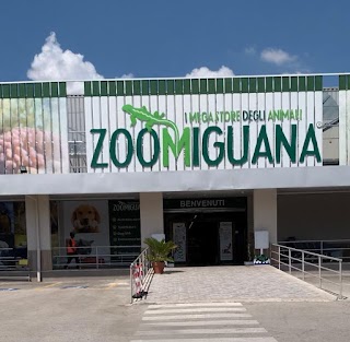 Zoomiguana Il Megastore Degli Animali