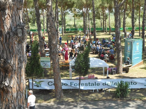 Nucleo Carabinieri Biodiversita' della Riserva naturale "Saline di Tarquinia"