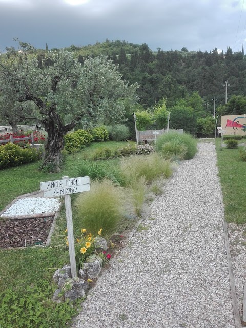 Azienda Agricola Guglielmi di Guglielmi Alessandra