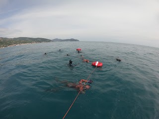 Bythos Freediving