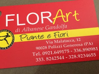 Florart di Albanese Gandolfa