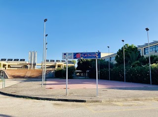 Liceo De Carlo A.M. Scientifico Linguistico Statale