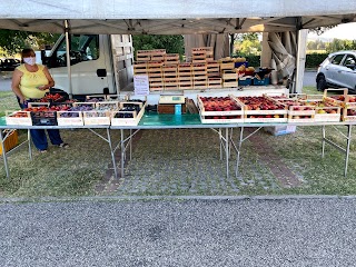 Azienda agricola Bersani Marco