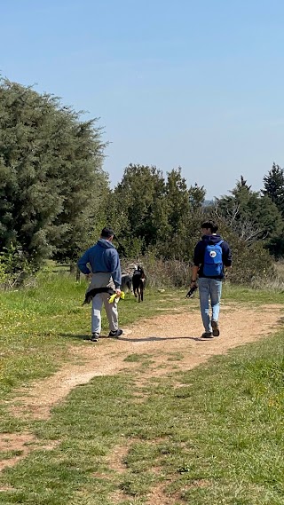 Il Cane Capace