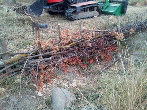 Chianti Food Forest