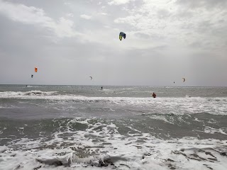 Spiaggia Per Cani