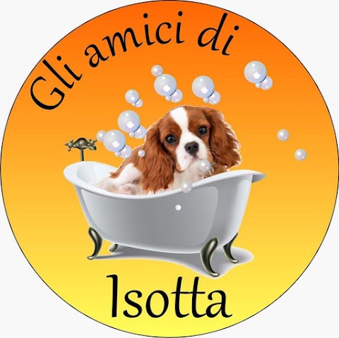 Gli amici di isotta