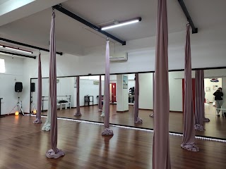 BALANCE ACADEMY