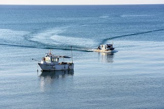 Pescaturismo selinunte