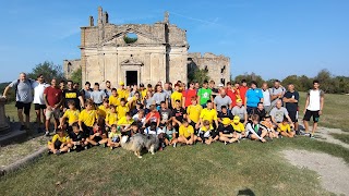 Nea Ostia Rugby / Old Rugby Ostia