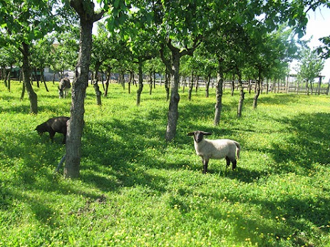 Agriturismo Praetto