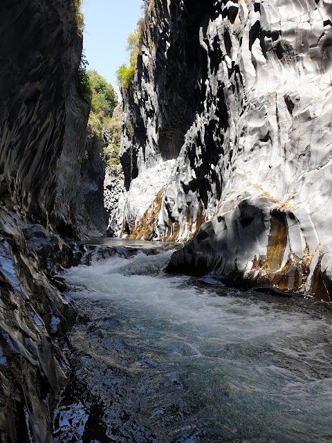 Gole Alcantara Parco Botanico e Geologico