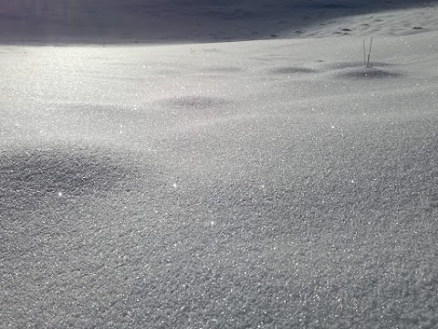 Rifugio Elena Tironi Rosello di sopra