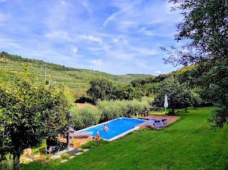 B&B Montericco