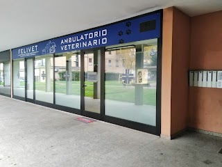 Ambulatorio Veterinario Felivet