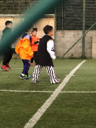 A.S.D. Pro Roma Calcio