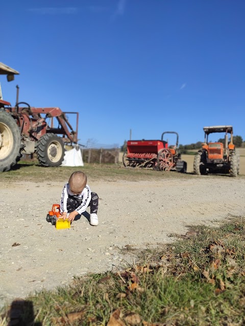 Agriturismo Manuela Di Agricola Federica