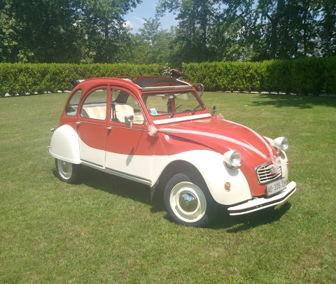 AUTONOLEGGIO MONTALTO - noleggio auto, maggiolino, pulmino vintage, matrimonio, nozze, cerimonie