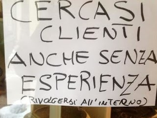 Il Pinguino Lavasecco