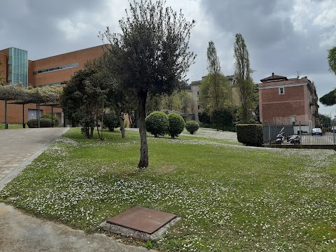 Università degli Studi Roma Tre - Giurisprudenza