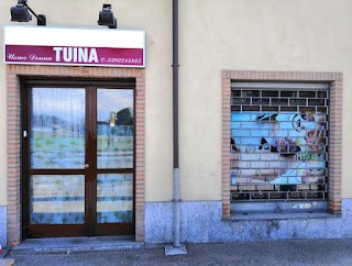 Centro Tuina