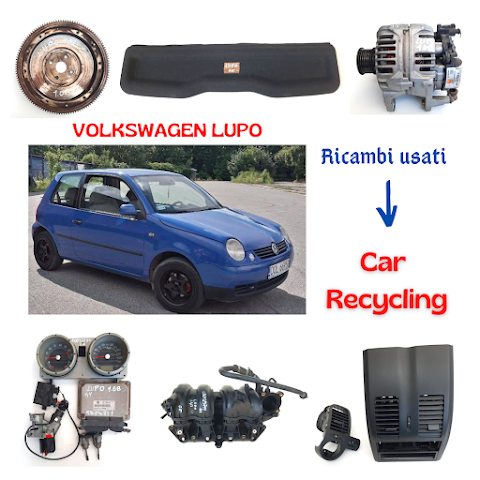 Car Recycling S.R.L.