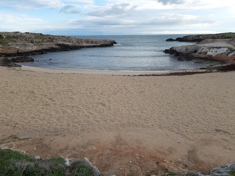 Casa Loredana Monopoli Affitti per brevi periodi