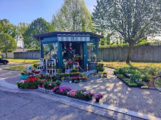 F.lli Mazza piante giardini e manutenzione del verde