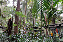 Kona Cloud Forest Sanctuary, Kailua-Kona, United States