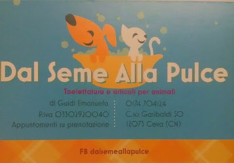 Dal Seme Alla Pulce