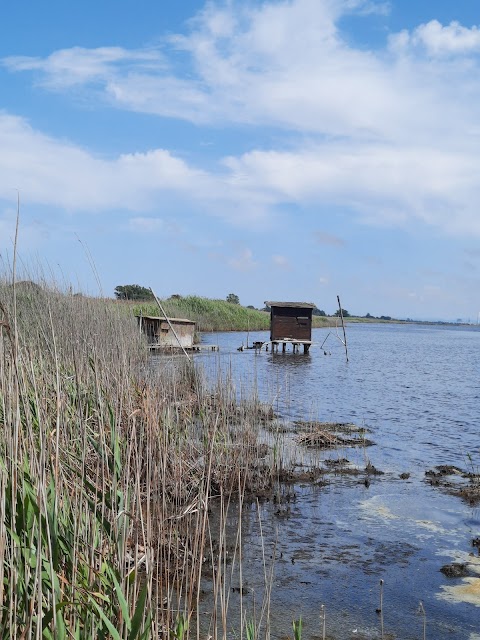 Oasi WWF Lago di Burano