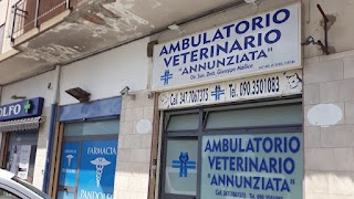 Ambulatorio Veterinario Annunziata Dott. G. Mollica