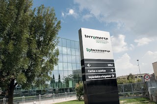 Cooperativa Terremerse