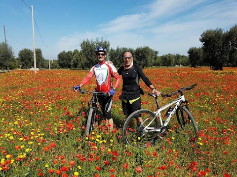 Nature Bike