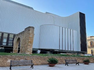 Fondazione Nuovo Teatro Verdi