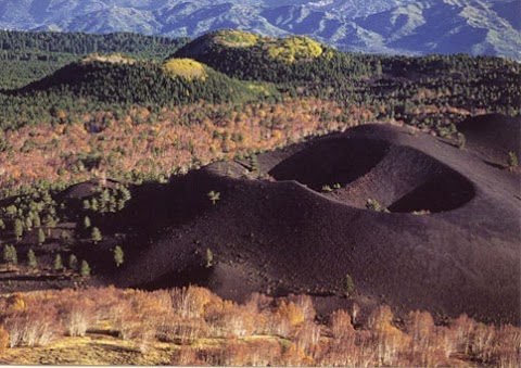 Baita nei boschi del Parco dell'Etna