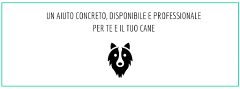 Il Cane Istruito di Federico Fiori