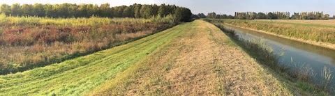 Ecomuseo dell'acqua e Area di Riequilibrio Ecologico "Dosolo"