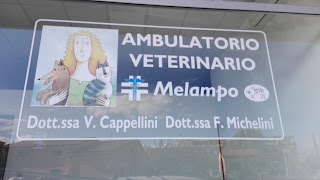 Ambulatorio veterinario Melampo