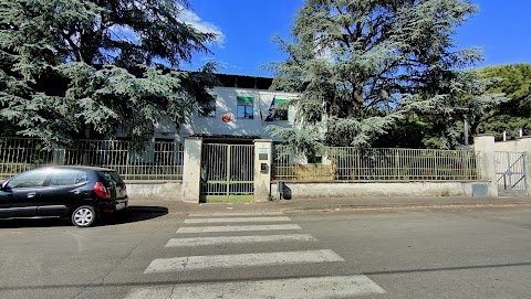 Scuole D'infanzia