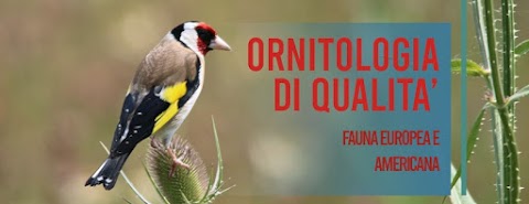 Ornitologia Lodato