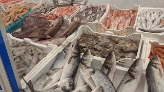 Pescheria Italia di Cardizaro Giuseppe