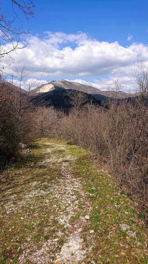 Monte Serrapullo