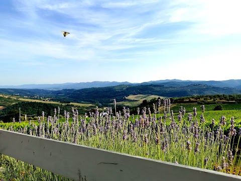 Enoteca Il Quartino di Marchesi Frescobaldi