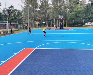 COLLEGE SQUARE GARDEN SCUOLA BASKET DI BASKET COLLEGE NOVARA asd