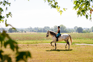 Centro Equestre Travanino