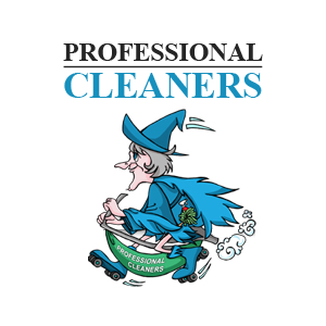 Professional Cleaners Snc