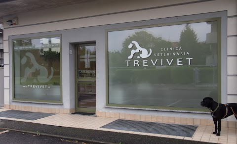 TREVIVET Clinica Veterinaria