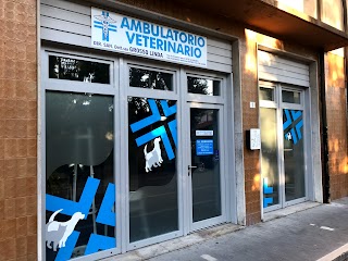 Ambulatorio Veterinario Dott.ssa Grosso Linda