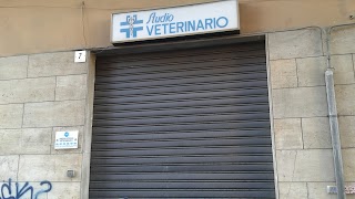 Ambulatorio Veterinario